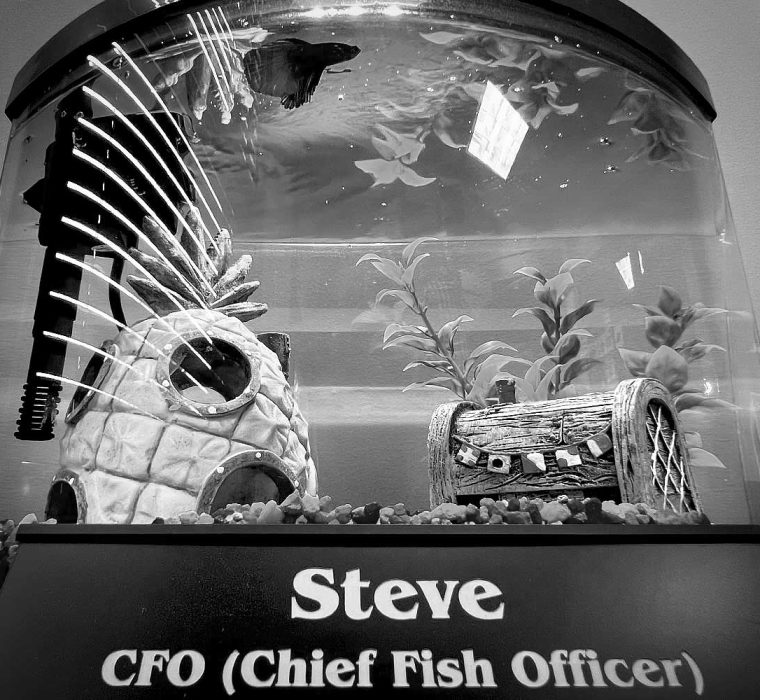 Black and white profit photo of Steve Fish-Kelstein.
